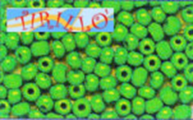 BIGIOTTERIA PERLINE - Conteria vetro 2 mm - Verde