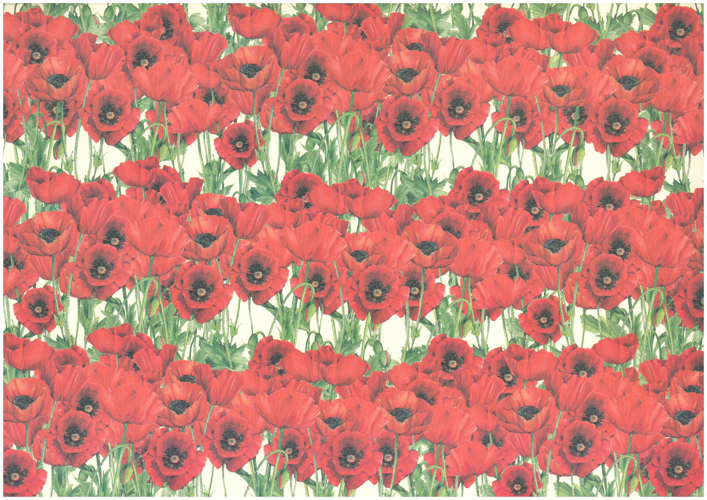 2 fogli carta découpage/cartonaggio legatoria 50x70 cm - Papaveri