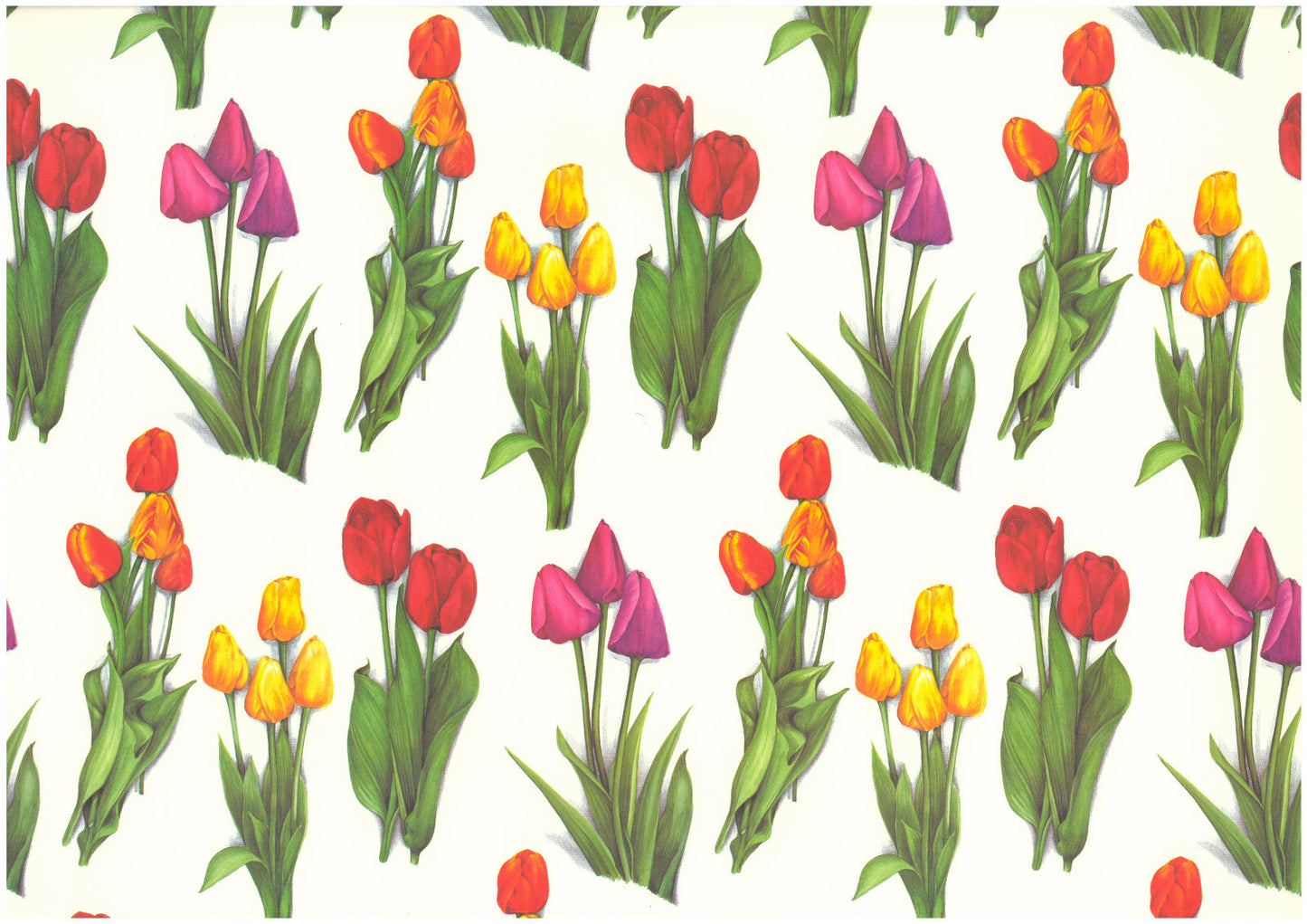 Carta legatoria découpage e cartonaggio 50x70 cm - Mazzi tulipani - 2 fogli