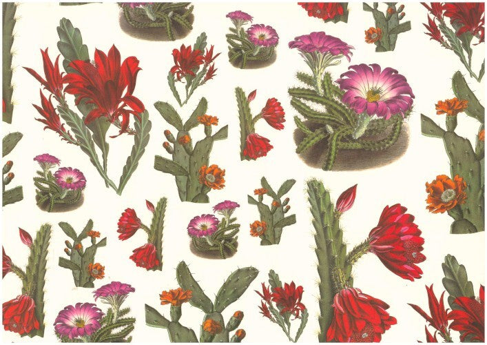 2 fogli carta legatoria cartonaggio 50x70 cm - Piante grasse