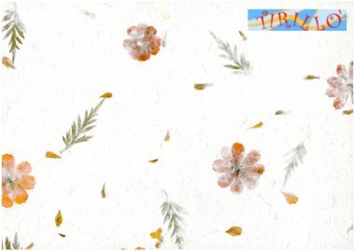 CARTONAGGIO SCRAPBOOK - Carta di gelso con fiori rossi veri - 50x80 cm - 2 pezzi