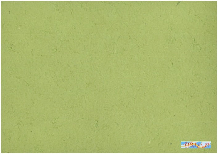 CARTONAGGIO SCRAPBOOK - 2 fogli carta di gelso verde menta - 65x90 cm