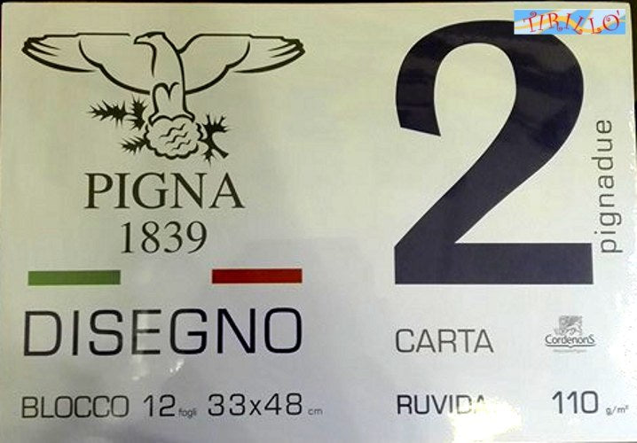 DISEGNO - 3 pezzi Album da disegno Pigna ruvido 12 fogli 110 g - 33x48 cm