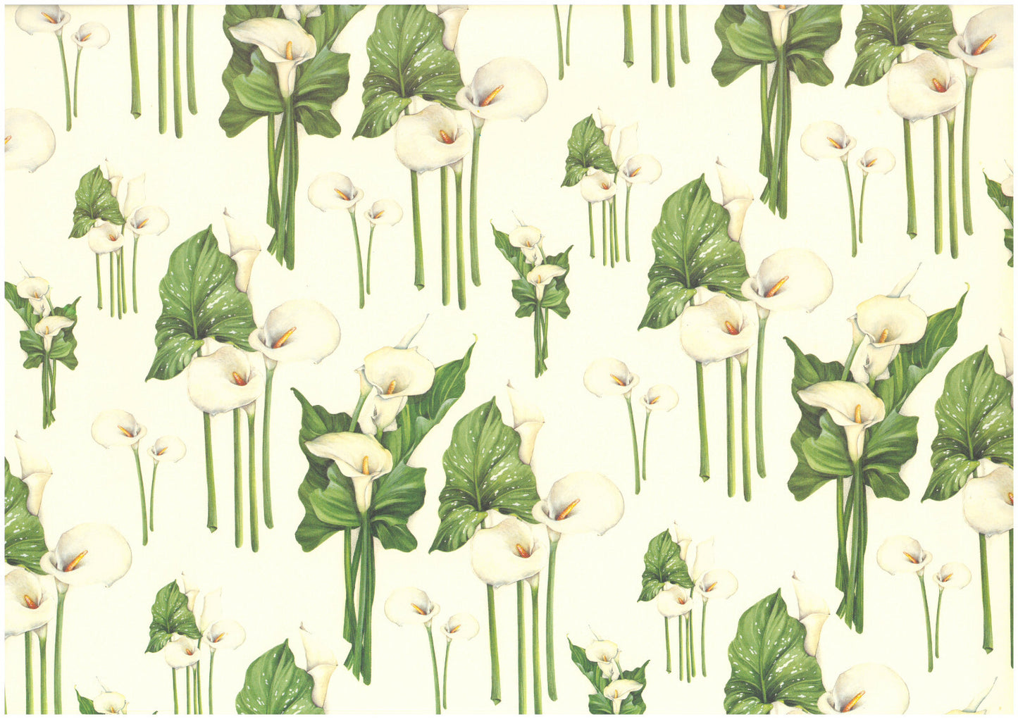 2 fogli carta découpage/cartonaggio legatoria 50x70 cm-Calle