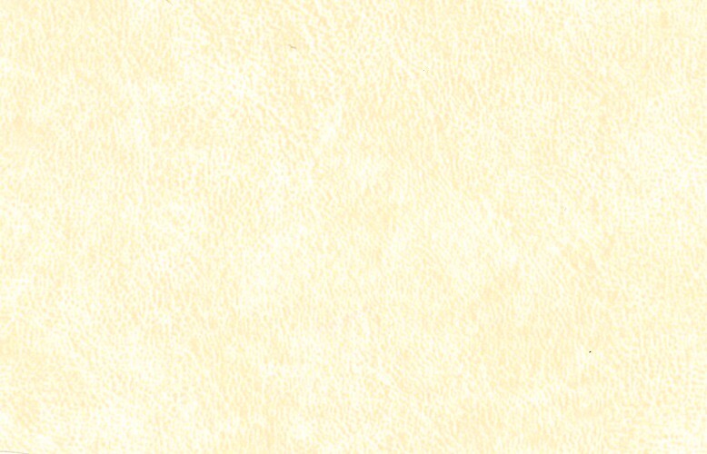 CARTONAGGIO e LEGATORIA - Similpelle spruzzato 100x50 cm - Avorio