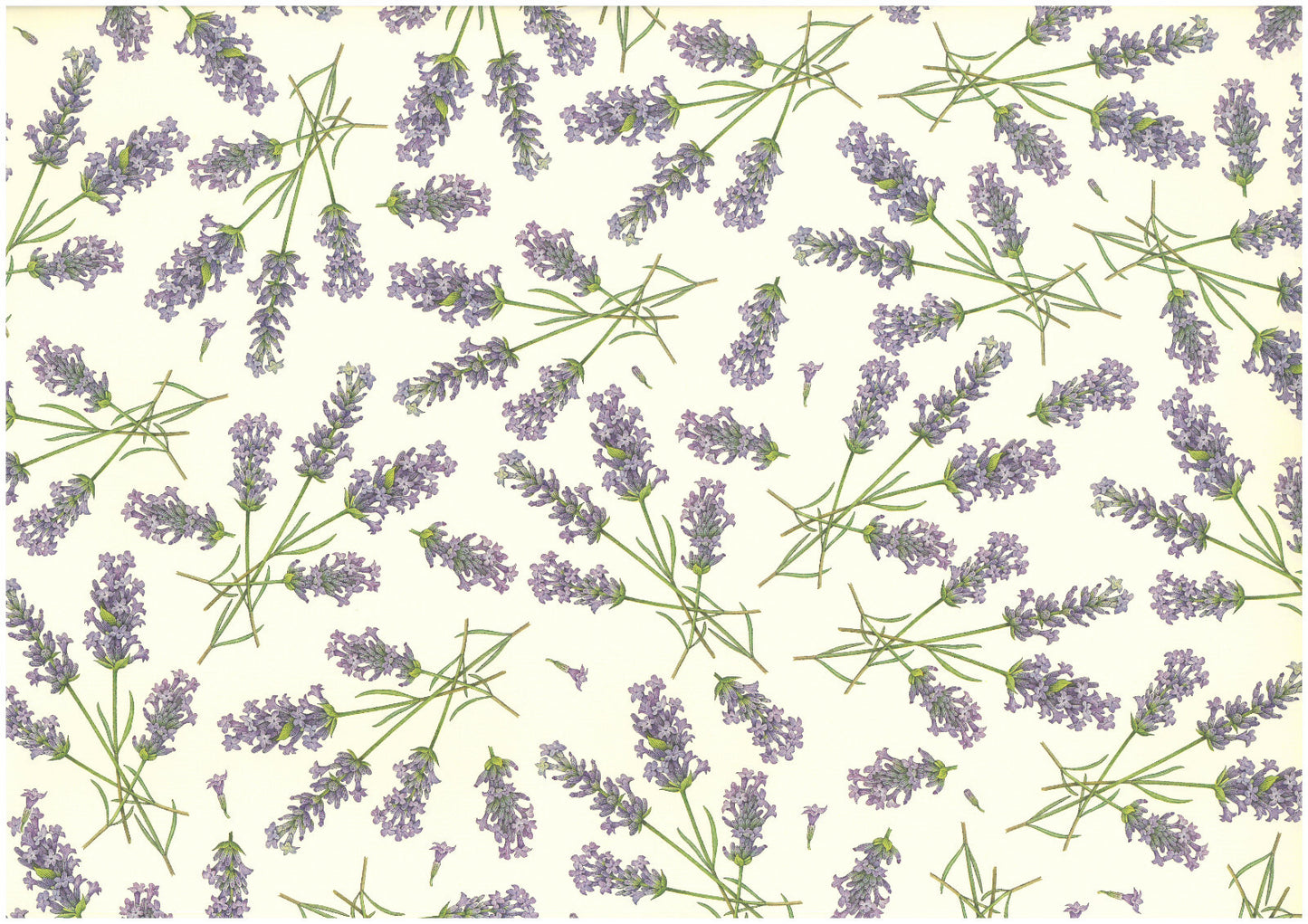 2 fogli carta découpage/cartonaggio legatoria 50x70 cm - Lavanda