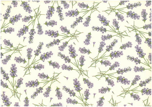 2 fogli carta découpage/cartonaggio legatoria 50x70 cm - Lavanda