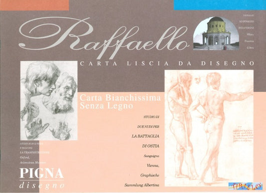 DISEGNO SCUOLA - 5 album disegno Pigna Raffaello quadretti 10 fogli - 24x33 cm