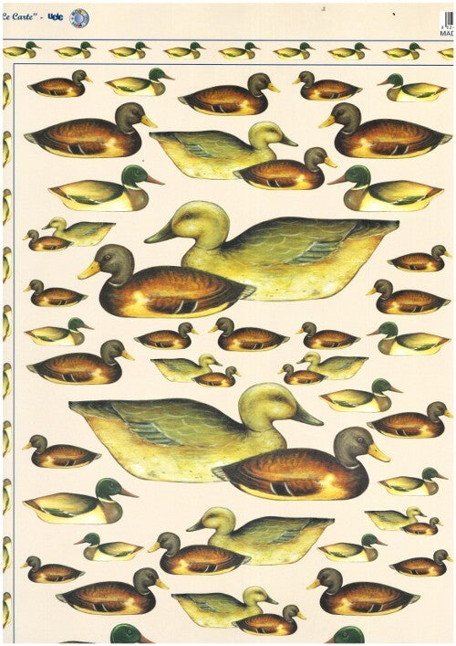 DECORAZIONE DECOUPAGE - Carta patinata sottile 48x35,5 cm - Anatre - 2 fogli