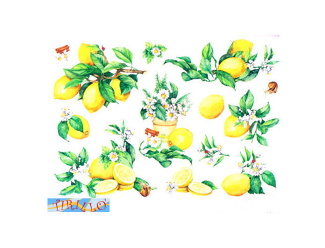 DECOUPAGE - 2 fogli carta di riso decorata cm 50 x 35 - Limoni