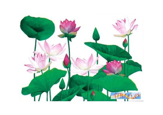 DECOUPAGE - Carta di riso decorata cm 50 x 70 - Fior di loto