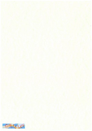 5 cartoncini 180 g effetto pergamena 50x70 cm - Sabbia