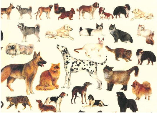 DECORAZIONE DECOUPAGE - Carta patinata sottile 50x70 cm - Cani e gatti - 2 fogli