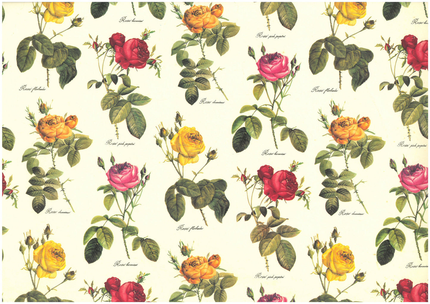 2 fogli carta legatoria découpage e cartonaggio 50x70 cm - Rose