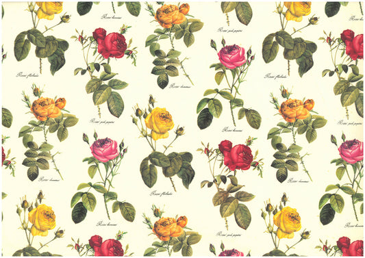 2 fogli carta legatoria découpage e cartonaggio 50x70 cm - Rose