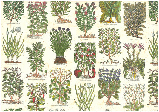 2 fogli carta découpage/cartonaggio legatoria 50x70 cm-Erbe Antiche
