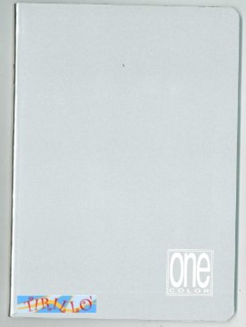 CARTOLERIA - 1 quaderno One Color a quadretti 21x14,8 - Argento
