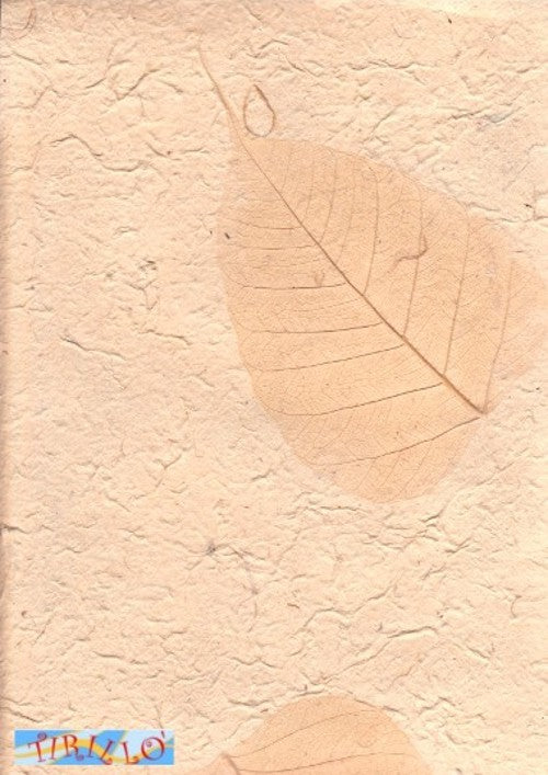 CARTONAGGIO SCRAPBOOK - Carta di gelso con foglie vere - 65x90 cm - 2 fogli