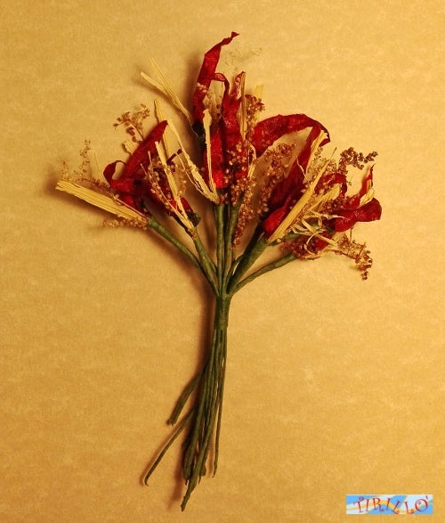 BOMBONIERE DECORAZIONI - 24 peperoncini di carta gommata per bomboniere