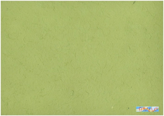 CARTONAGGIO SCRAPBOOK - 2 fogli carta di gelso verde menta - 65x90 cm