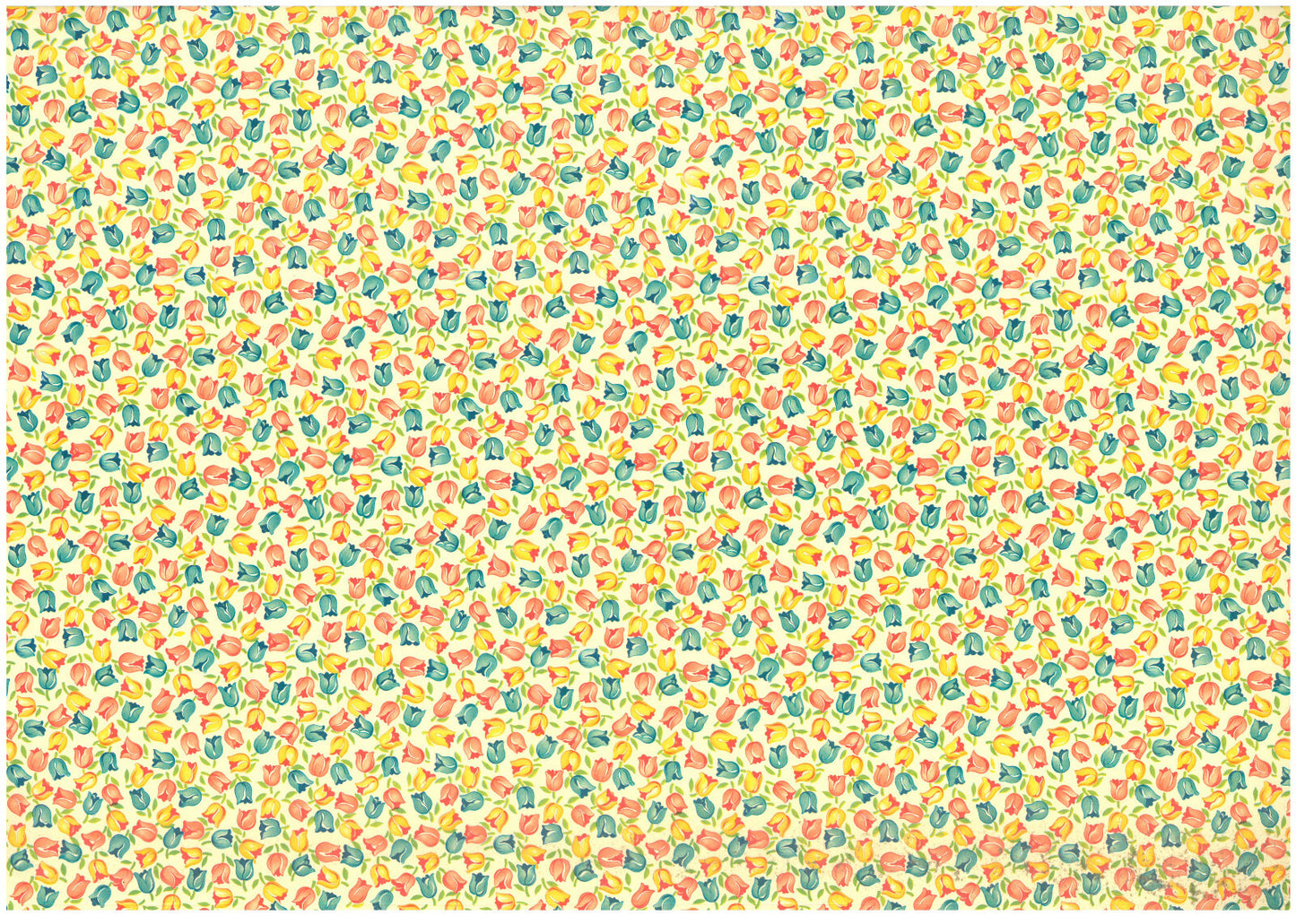 2 fogli carta legatoria cartonaggio 50x70 cm - Tulipani