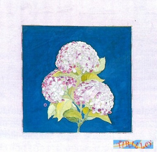 PITTURA - 1 cartamodello per pittura su stoffa o vetro 64x64 cm - Ortensie