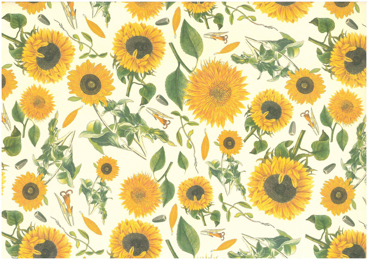 2 fogli carta legatoria découpage e cartonaggio 50x70 cm-Girasoli