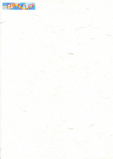 CARTONAGGIO SCRAPBOOK - Carta di gelso bianca - 65x90 cm - 2 fogli