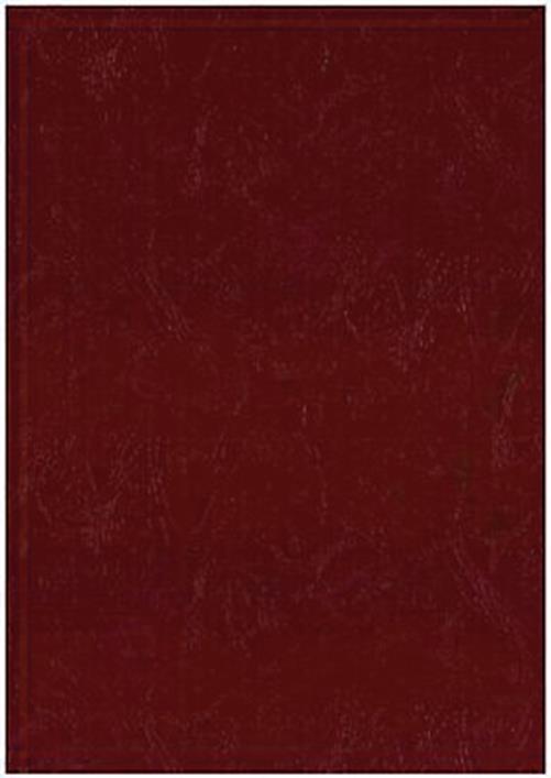 CARTOLERIA - Pacco 100 cartoncini copertine per rilegare 250 g - A4 - Bordeaux