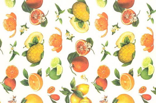 2 fogli carta découpage/cartonaggio legatoria 50x70cm - Agrumi