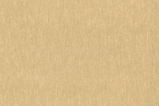 CARTONAGGIO e LEGATORIA - Similpelle zigrinata 100x50 cm - Oro